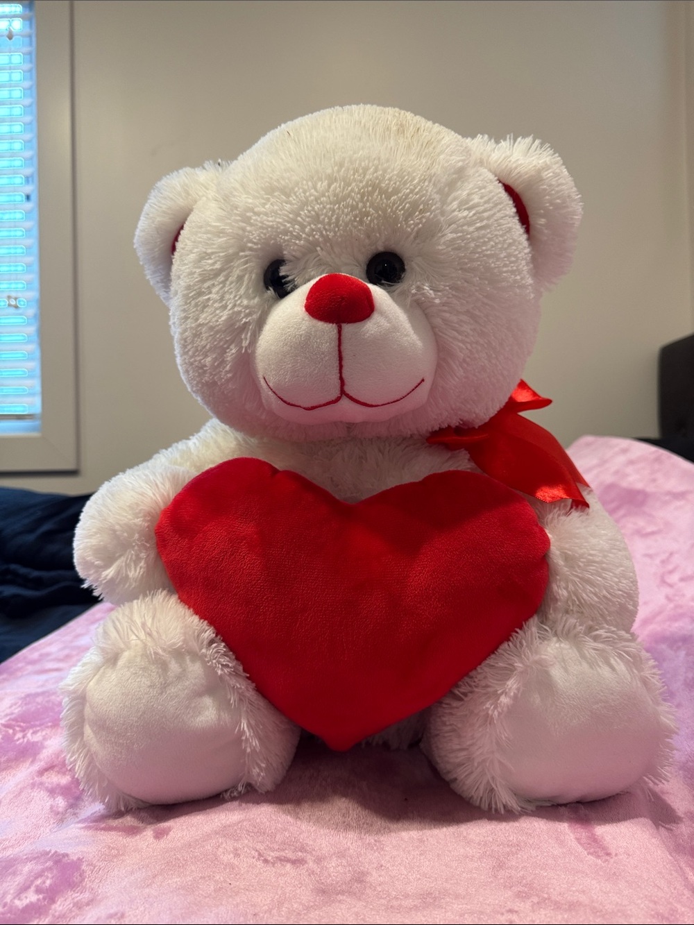 White Teddy Bear Plush with Red Heart